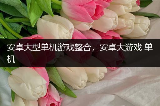 安卓大型单机游戏整合，安卓大游戏 单机