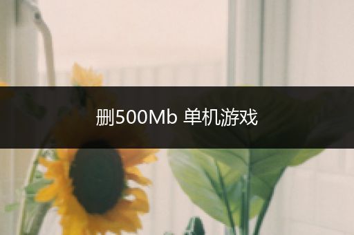 删500Mb 单机游戏