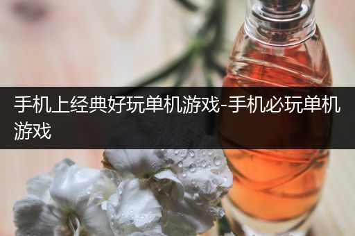 手机上经典好玩单机游戏-手机必玩单机游戏