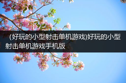 （好玩的小型射击单机游戏)好玩的小型射击单机游戏手机版