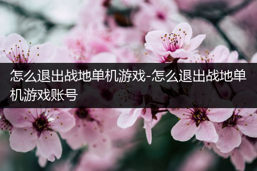 怎么退出战地单机游戏-怎么退出战地单机游戏账号