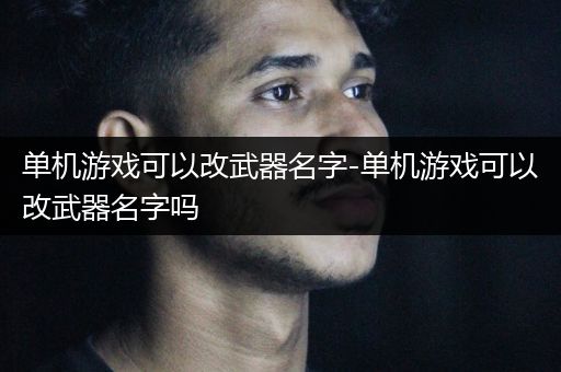 单机游戏可以改武器名字-单机游戏可以改武器名字吗