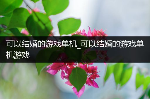 可以结婚的游戏单机_可以结婚的游戏单机游戏