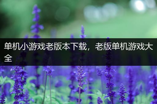 单机小游戏老版本下载，老版单机游戏大全