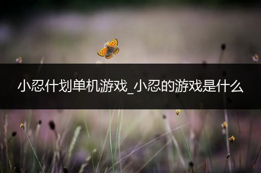 小忍什划单机游戏_小忍的游戏是什么