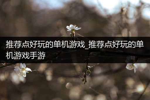 推荐点好玩的单机游戏_推荐点好玩的单机游戏手游