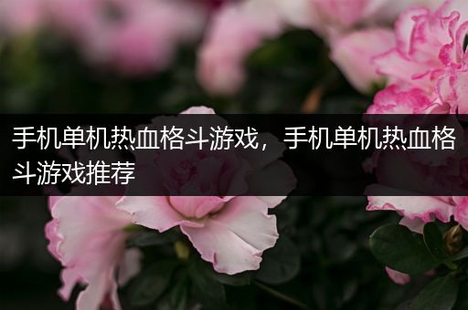 手机单机热血格斗游戏，手机单机热血格斗游戏推荐