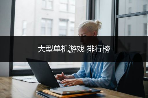 大型单机游戏 排行榜