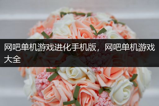 网吧单机游戏进化手机版，网吧单机游戏大全