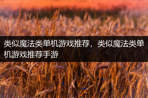 类似魔法类单机游戏推荐，类似魔法类单机游戏推荐手游