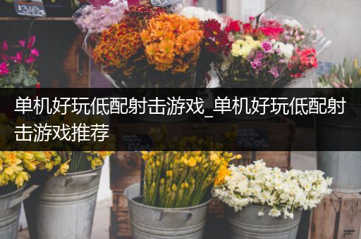 单机好玩低配射击游戏_单机好玩低配射击游戏推荐