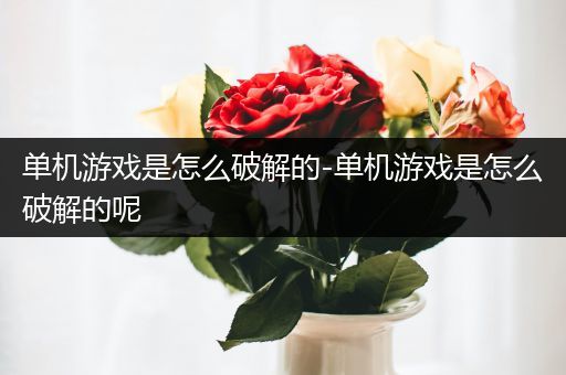 单机游戏是怎么破解的-单机游戏是怎么破解的呢