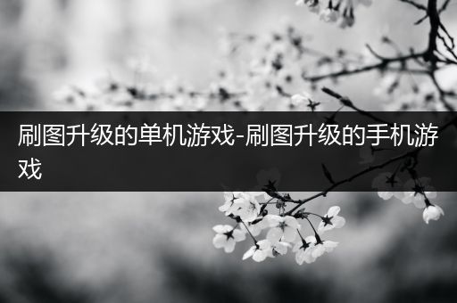 刷图升级的单机游戏-刷图升级的手机游戏