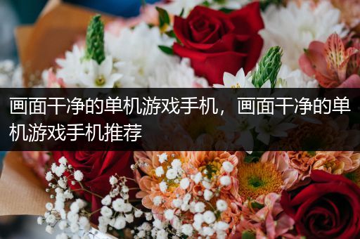画面干净的单机游戏手机，画面干净的单机游戏手机推荐