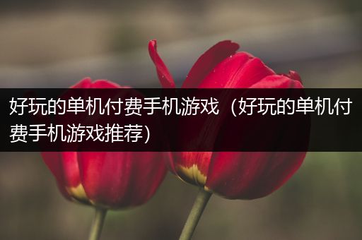 好玩的单机付费手机游戏（好玩的单机付费手机游戏推荐）
