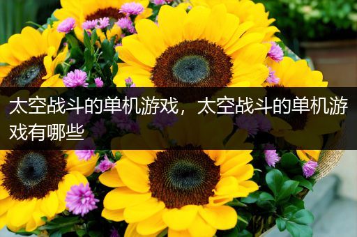太空战斗的单机游戏，太空战斗的单机游戏有哪些