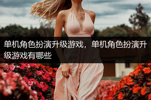 单机角色扮演升级游戏，单机角色扮演升级游戏有哪些