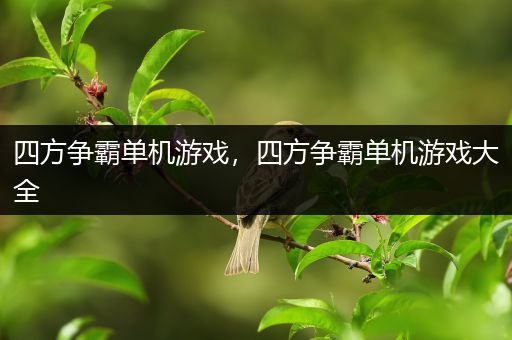 四方争霸单机游戏，四方争霸单机游戏大全