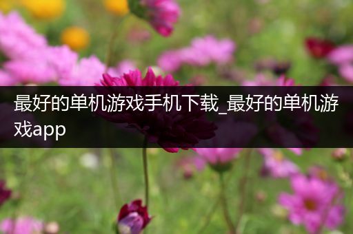 最好的单机游戏手机下载_最好的单机游戏app