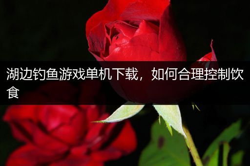 湖边钓鱼游戏单机下载，如何合理控制饮食