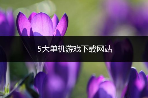 5大单机游戏下载网站