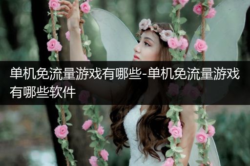 单机免流量游戏有哪些-单机免流量游戏有哪些软件