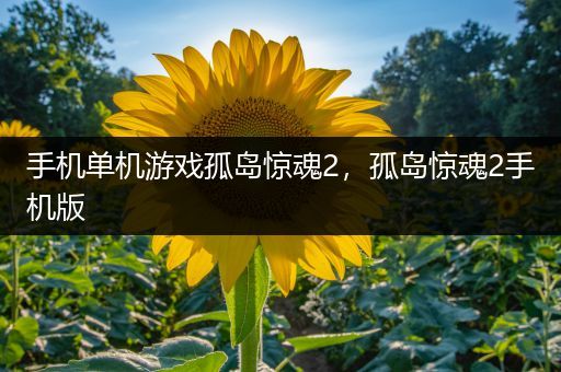 手机单机游戏孤岛惊魂2，孤岛惊魂2手机版