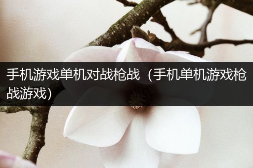 手机游戏单机对战枪战（手机单机游戏枪战游戏）