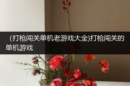 （打枪闯关单机老游戏大全)打枪闯关的单机游戏