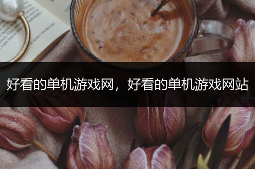 好看的单机游戏网，好看的单机游戏网站