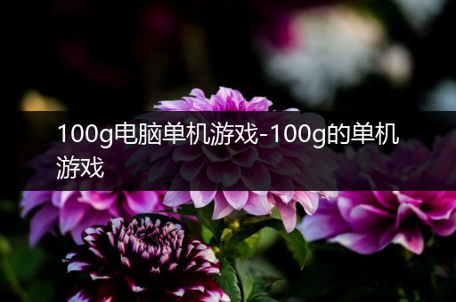 100g电脑单机游戏-100g的单机游戏