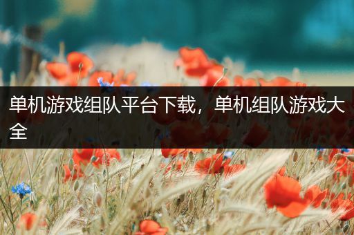 单机游戏组队平台下载，单机组队游戏大全