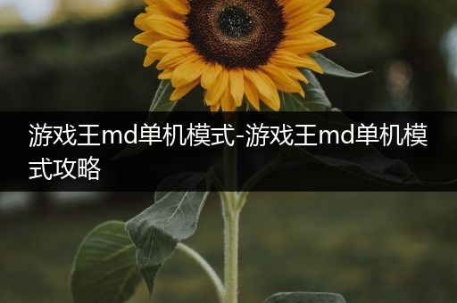 游戏王md单机模式-游戏王md单机模式攻略