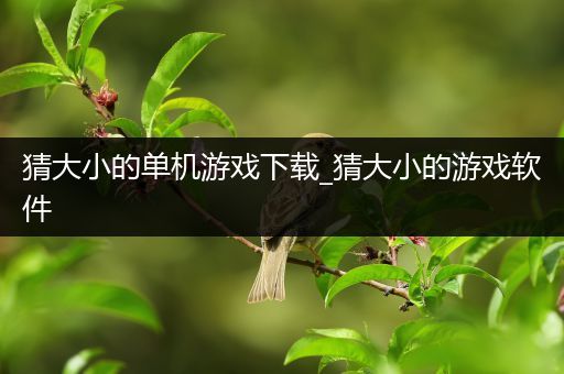 猜大小的单机游戏下载_猜大小的游戏软件