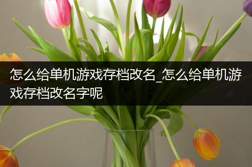 怎么给单机游戏存档改名_怎么给单机游戏存档改名字呢