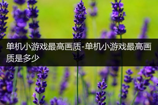 单机小游戏最高画质-单机小游戏最高画质是多少