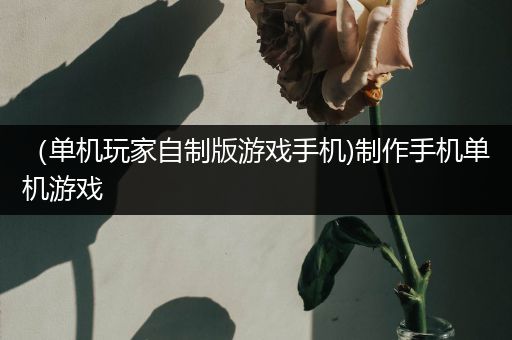 （单机玩家自制版游戏手机)制作手机单机游戏
