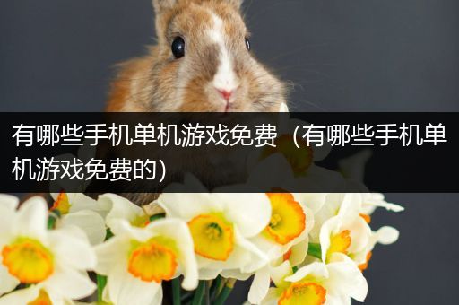 有哪些手机单机游戏免费（有哪些手机单机游戏免费的）