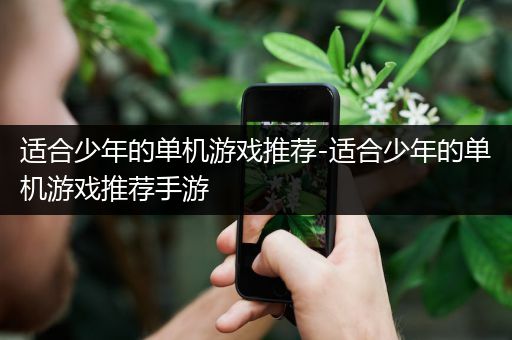 适合少年的单机游戏推荐-适合少年的单机游戏推荐手游