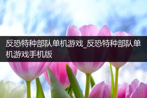 反恐特种部队单机游戏_反恐特种部队单机游戏手机版