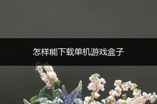 怎样能下载单机游戏盒子