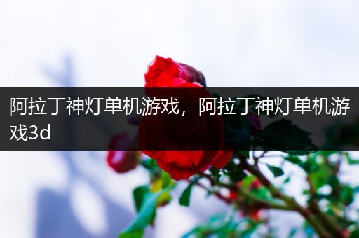 阿拉丁神灯单机游戏，阿拉丁神灯单机游戏3d