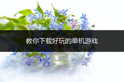 教你下载好玩的单机游戏