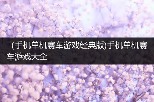 （手机单机赛车游戏经典版)手机单机赛车游戏大全
