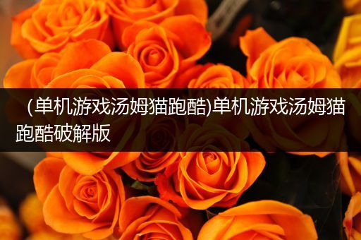 （单机游戏汤姆猫跑酷)单机游戏汤姆猫跑酷破解版