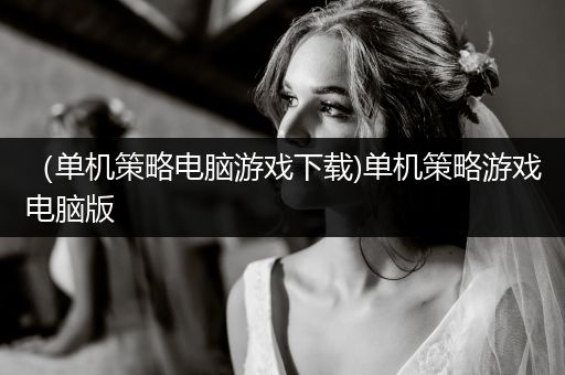 （单机策略电脑游戏下载)单机策略游戏电脑版