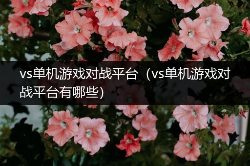 vs单机游戏对战平台（vs单机游戏对战平台有哪些）