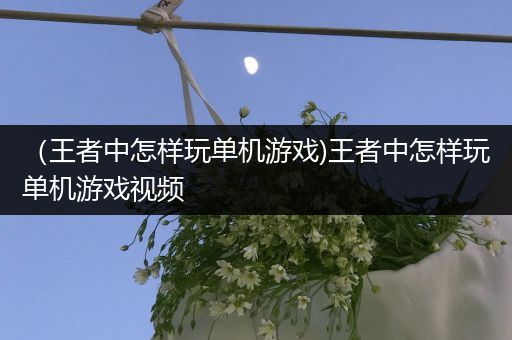 （王者中怎样玩单机游戏)王者中怎样玩单机游戏视频