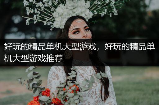 好玩的精品单机大型游戏，好玩的精品单机大型游戏推荐
