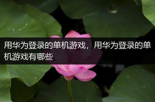 用华为登录的单机游戏，用华为登录的单机游戏有哪些